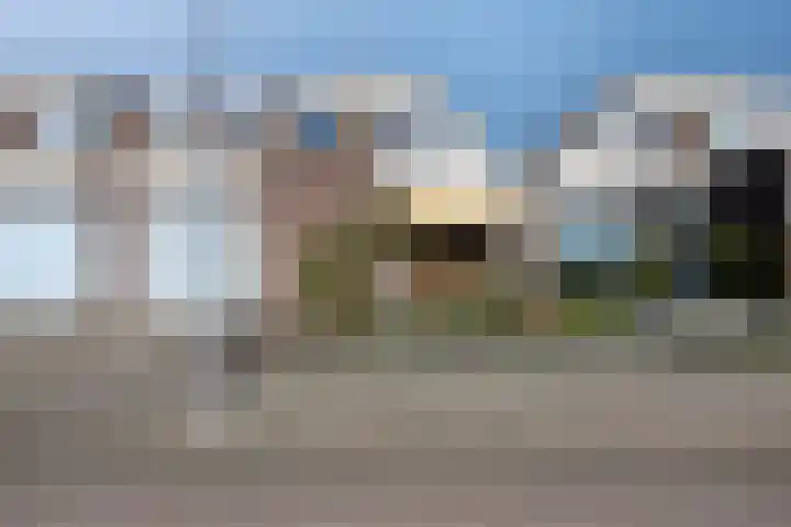 Beemdgras 10 Bodegraven