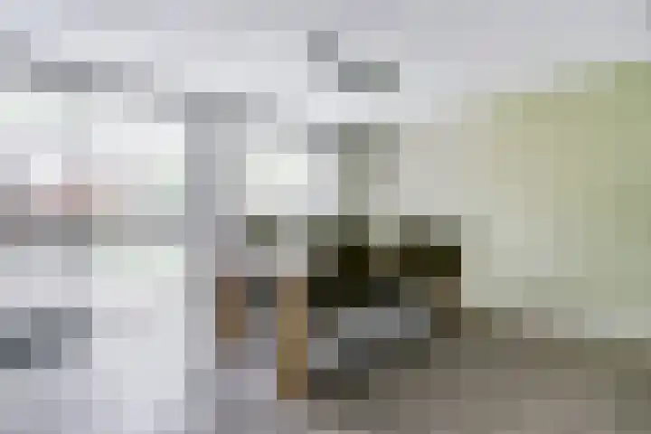 Beemdheuvel 6 Best thumbnail 10