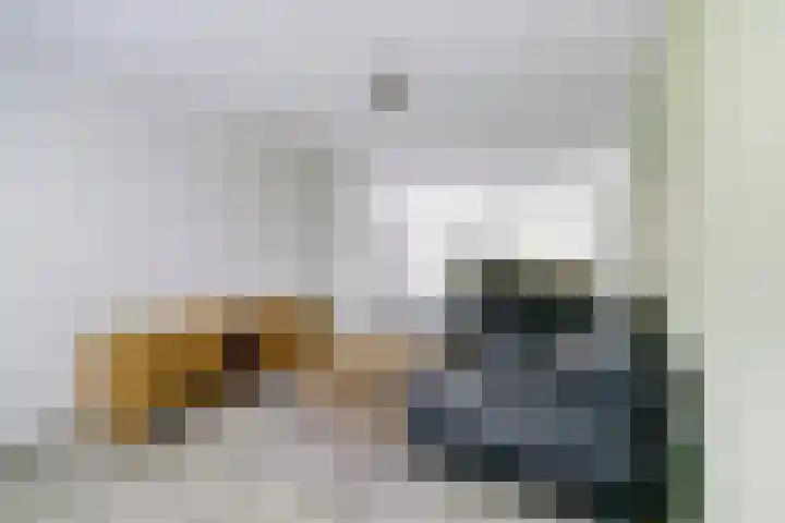 Beemdheuvel 6 Best thumbnail 11