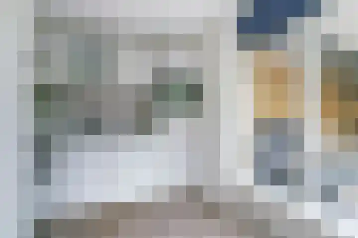 Beemdheuvel 6 Best thumbnail 15