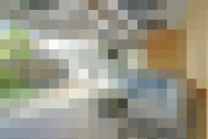 Beemdheuvel 6 Best thumbnail 20