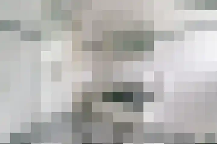 Beemdheuvel 6 Best thumbnail 36