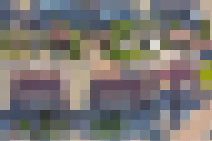 Beemdheuvel 6 Best thumbnail 38