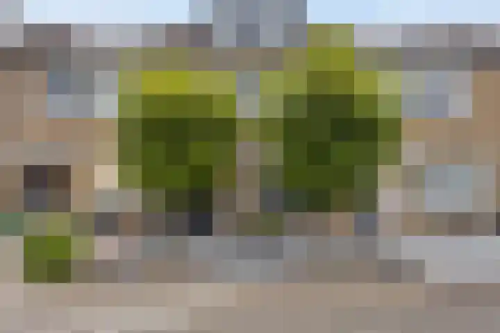 Beemdhof 4 Heteren