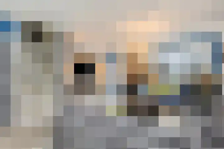 Beemdhof 4 Heteren thumbnail 10