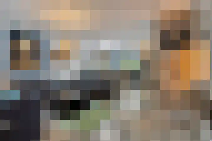 Beemdhof 4 Heteren thumbnail 13