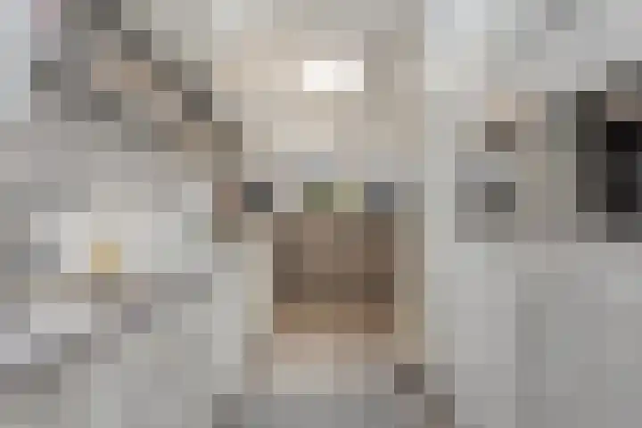 Beemdhof 4 Heteren thumbnail 16