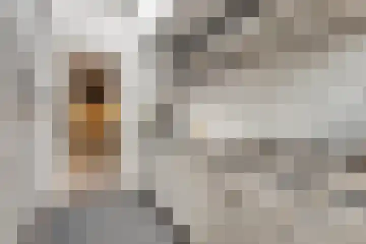 Beemdhof 4 Heteren thumbnail 17