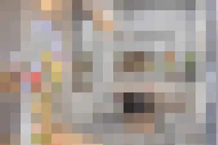 Beemdhof 4 Heteren thumbnail 18