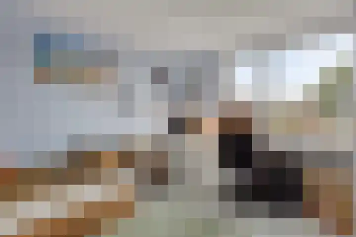 Beemdhof 4 Heteren thumbnail 21