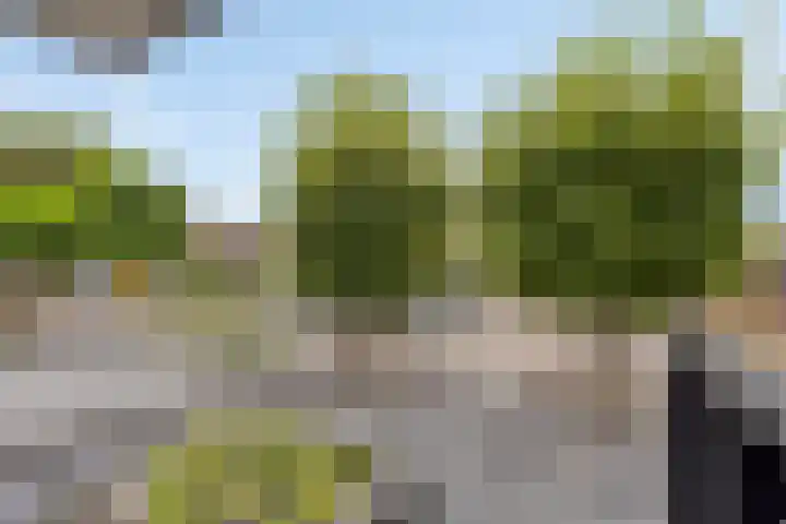 Beemdhof 4 Heteren thumbnail 35