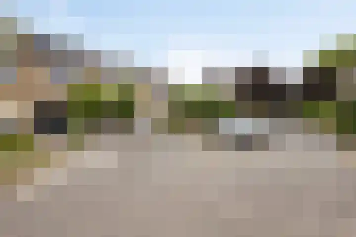 Beemdhof 4 Heteren thumbnail 5