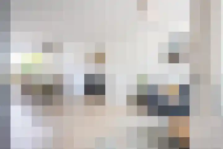 Beemdkroon 32 Tiel thumbnail 10