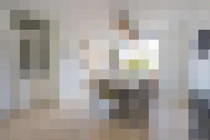 Beemdkroon 32 Tiel thumbnail 16