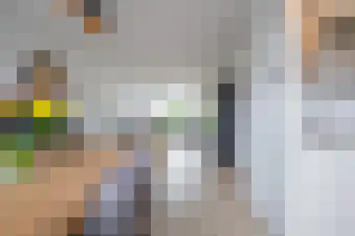 Beemdkroon 32 Tiel thumbnail 19