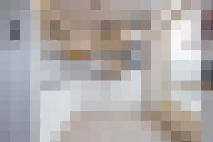 Beemdkroon 32 Tiel thumbnail 22