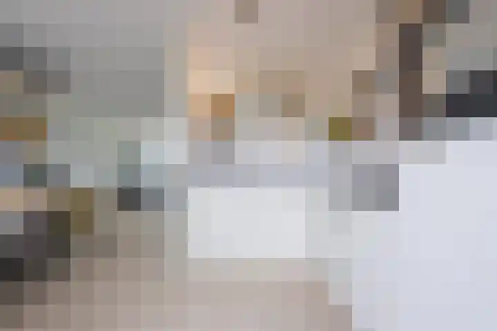 Beemdkroon 32 Tiel thumbnail 23