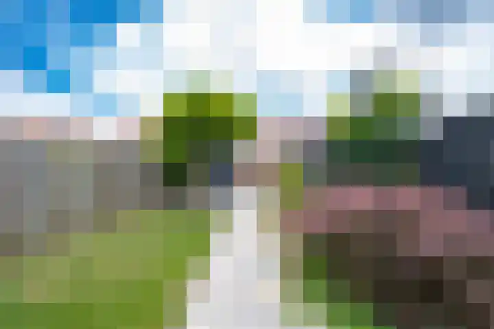 Beemdkroon 32 Tiel thumbnail 28