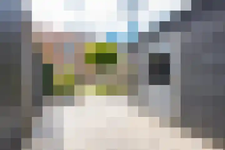 Beemdkroon 32 Tiel thumbnail 33