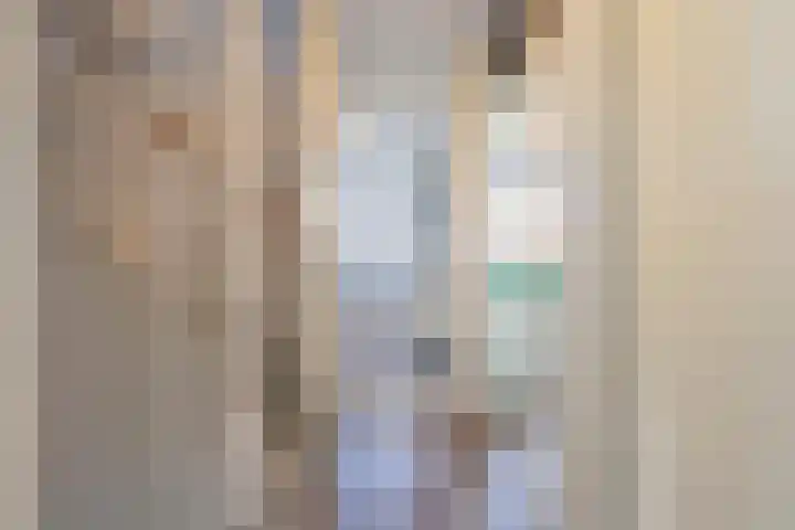 Beemdkroon 32 Tiel thumbnail 36
