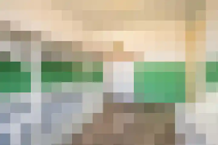 Beemdkroon 32 Tiel thumbnail 41