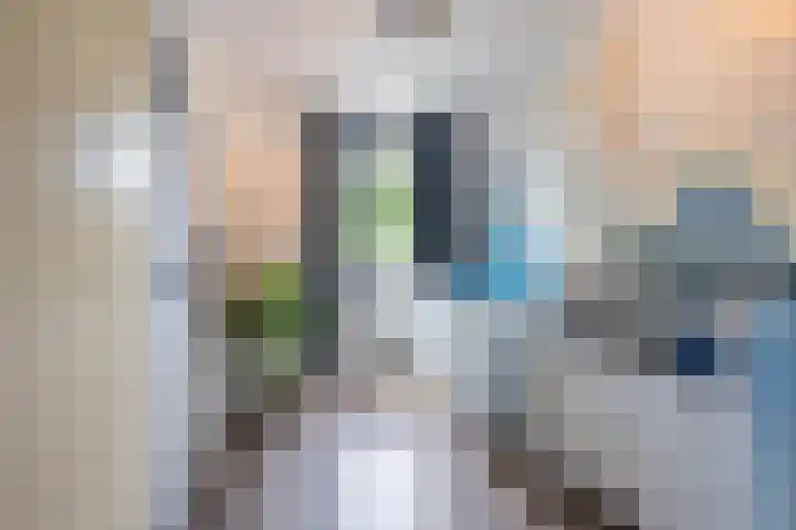 Beemdkroon 32 Tiel thumbnail 45