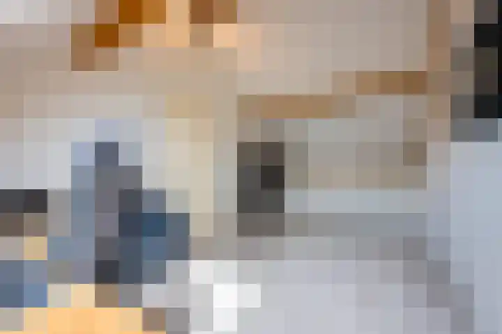 Beemdkroon 32 Tiel thumbnail 51