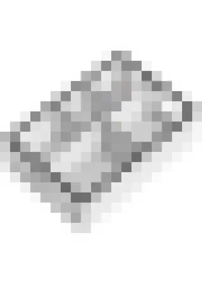Beemdkroon 32 Tiel thumbnail 56