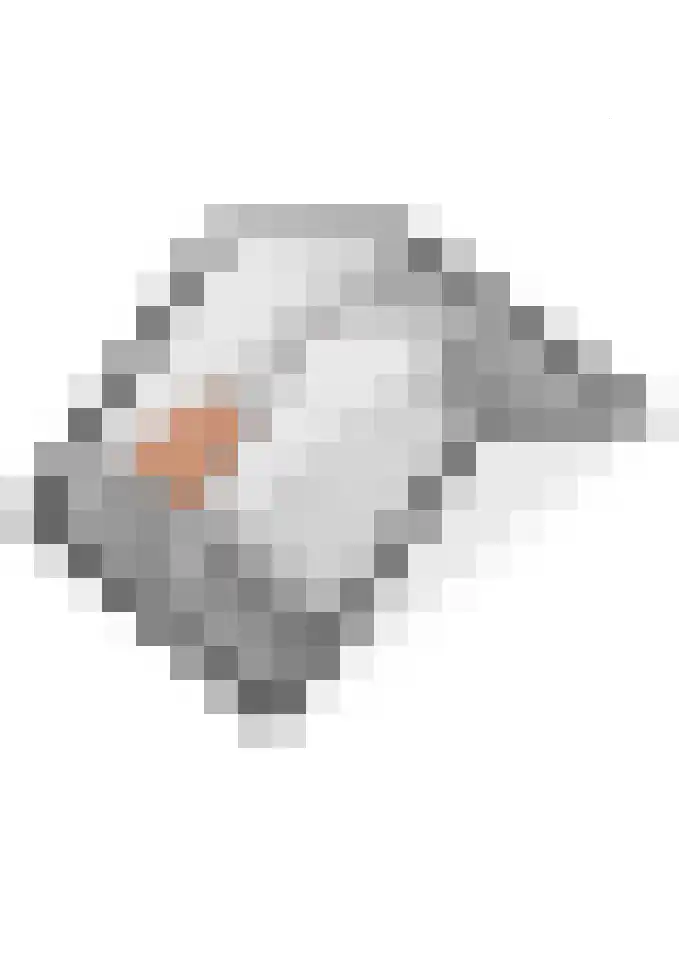 Beemdkroon 32 Tiel thumbnail 58