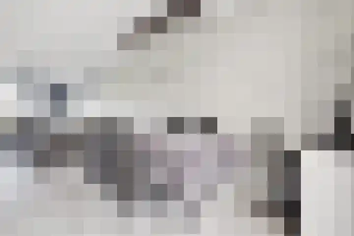 Beemdkroon 80 Tiel thumbnail 10