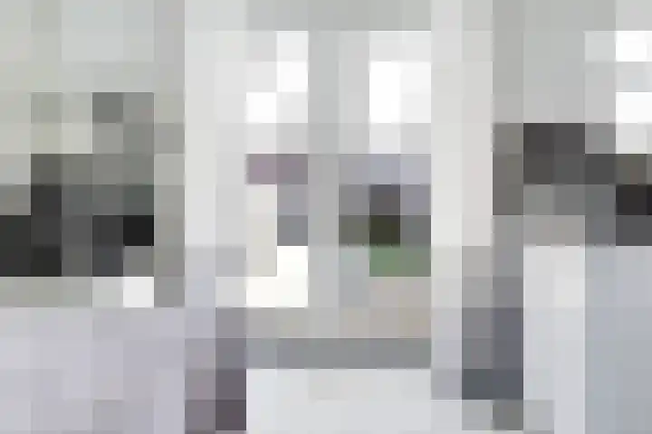 Beemdkroon 80 Tiel thumbnail 15