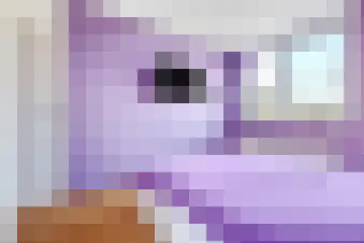 Beemdkroon 80 Tiel thumbnail 22