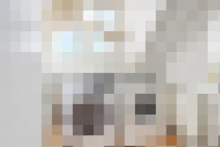 Beemdkroon 80 Tiel thumbnail 34