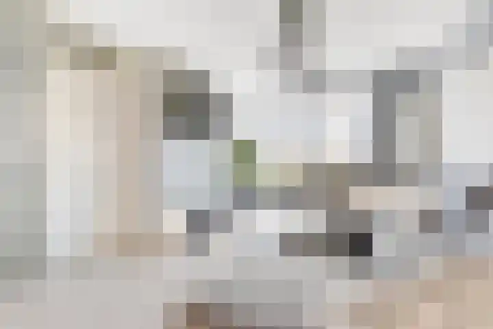 Beemdkroon 80 Tiel thumbnail 4