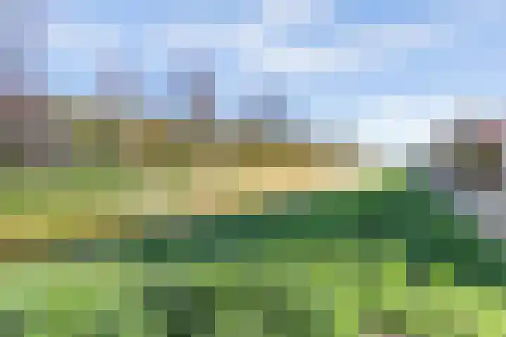 Beemdkroon 80 Tiel thumbnail 42