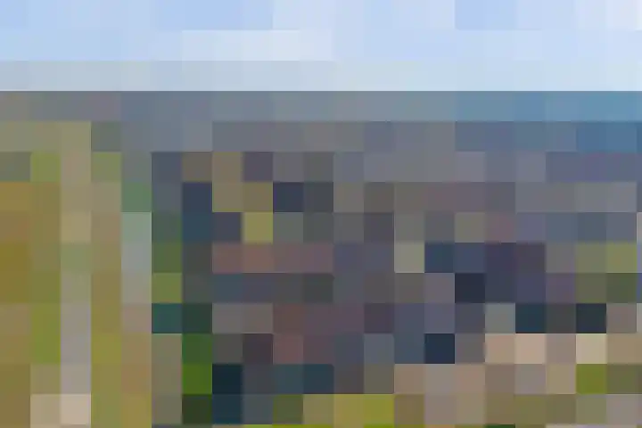 Beemdkroon 80 Tiel thumbnail 44