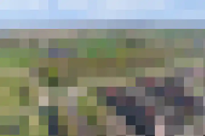 Beemdkroon 80 Tiel thumbnail 49