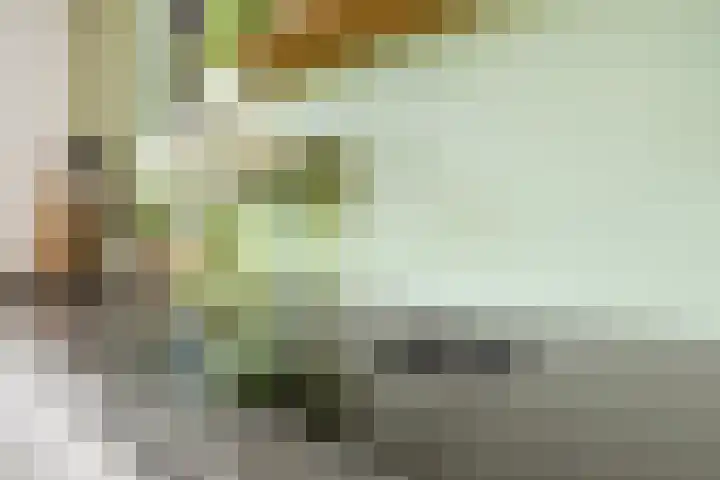Beemdlaar 22 Almere thumbnail 17