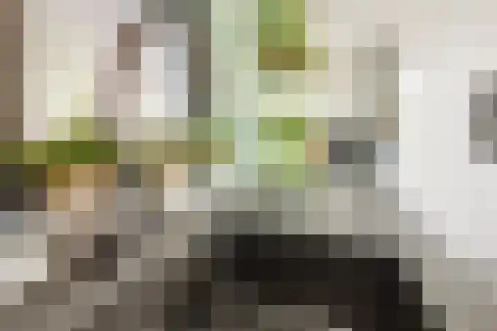 Beemdlaar 22 Almere thumbnail 18