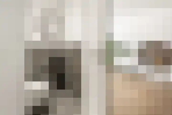 Beemdlaar 22 Almere thumbnail 20