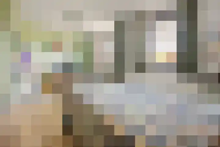 Beemdlaar 22 Almere thumbnail 24