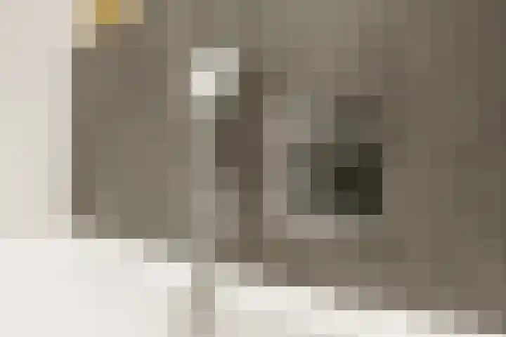 Beemdlaar 22 Almere thumbnail 29
