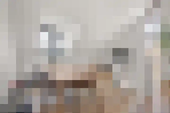 Beemdlaar 22 Almere thumbnail 33