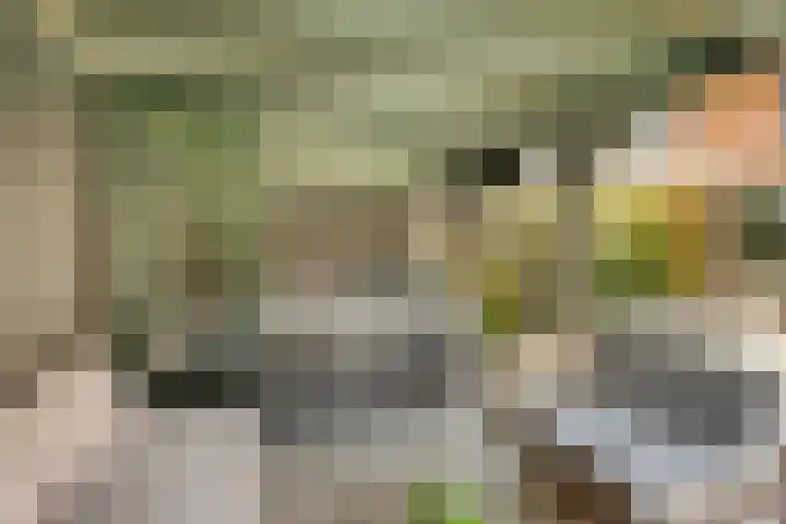 Beemdlaar 22 Almere thumbnail 50