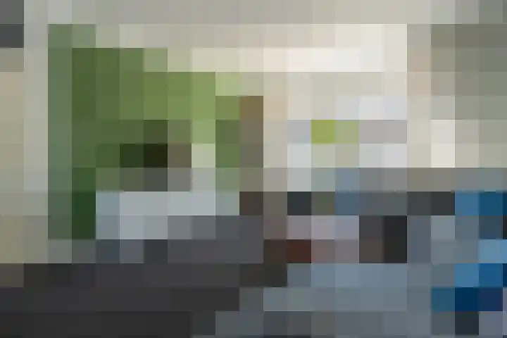 Beemdlaar 62 Almere thumbnail 14