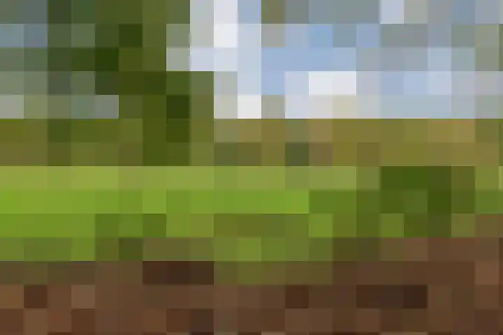 Beemdlaar 62 Almere thumbnail 21