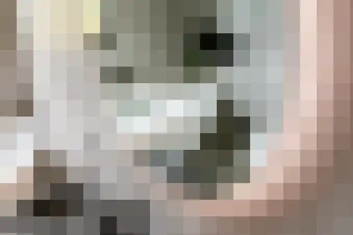 Beemdlaar 62 Almere thumbnail 22