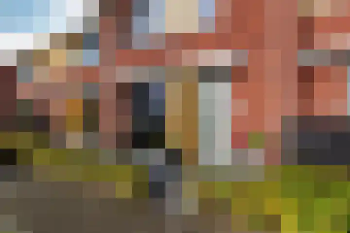 Beemdlaar 62 Almere thumbnail 32