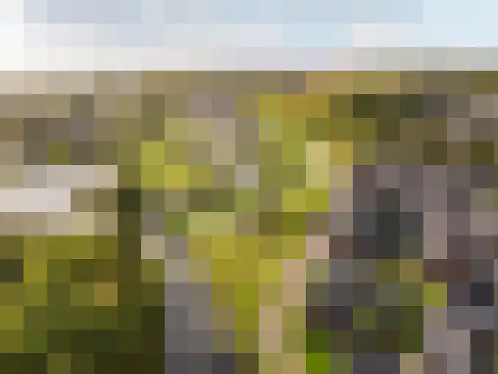 Beemdlaar 62 Almere thumbnail 33