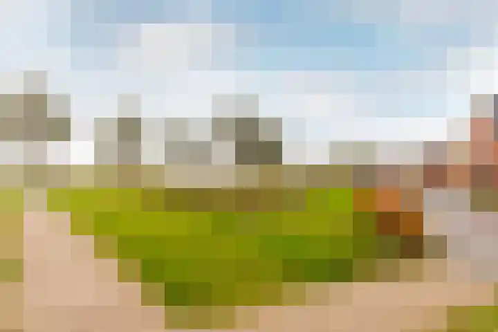 Beemdlaar 62 Almere thumbnail 38